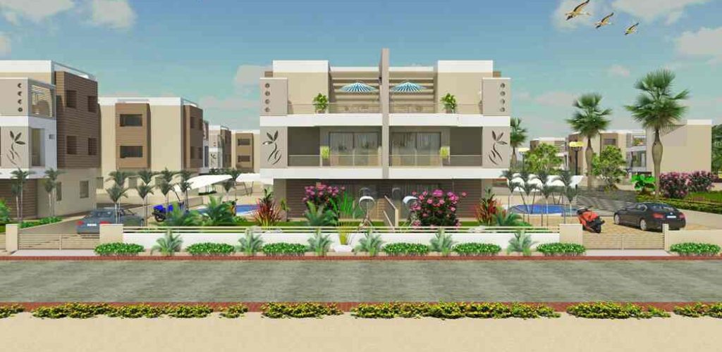 Dholera sir